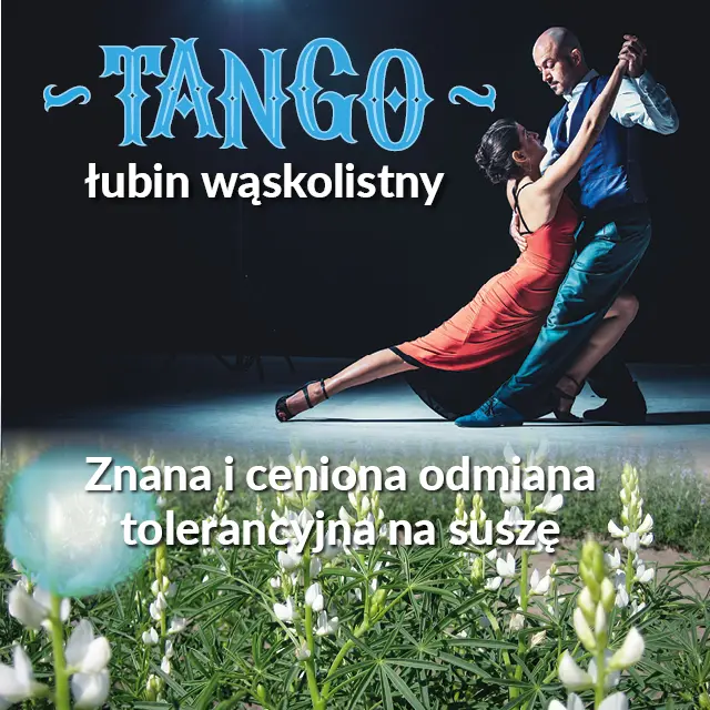 PHR_grafiki_www_640px_tango