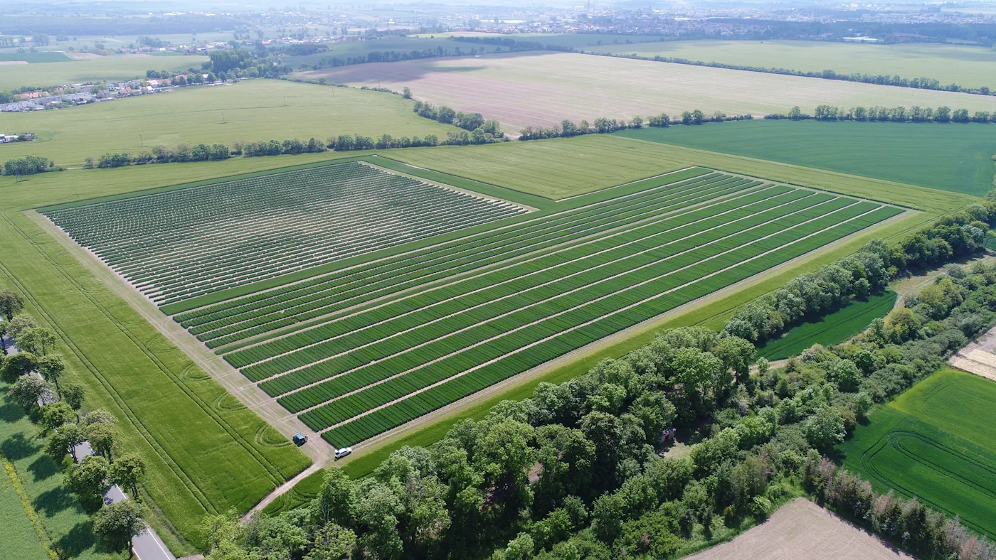 PHR mainfoto SHR Antoniny