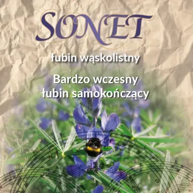 lubin waskolistny sonet PHR