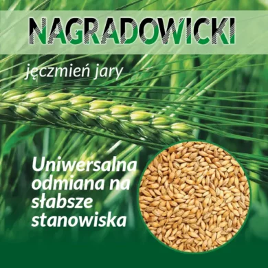 3jeczmien jary Nagradowicki PHR