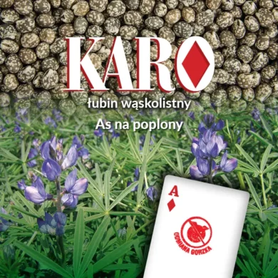 lubin waskolistny karo PHR
