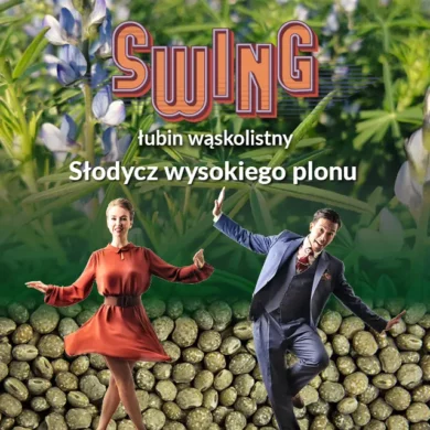 lubin waskolistny swing PHR