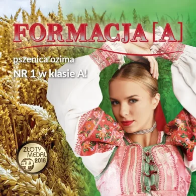 Pszenica ozima Formacja foto3