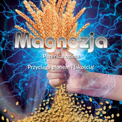 Pszenica ozima Magnezja PHR