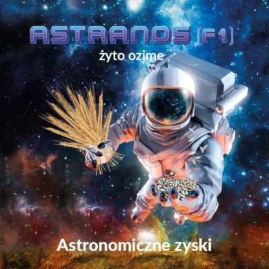 Żyto ozime Astranos PHR
