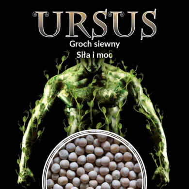 groch siewny jadalny ursus phr