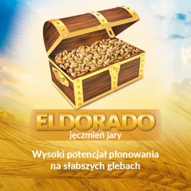 jeczmien jary eldorado PHR