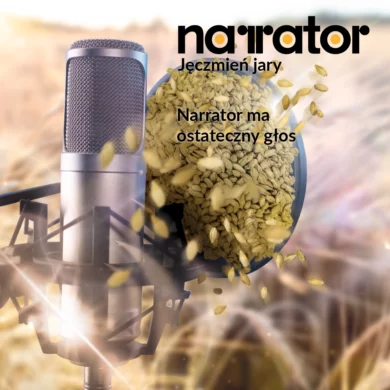 jeczmien jary narrator PHR foto3