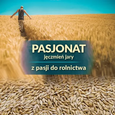 jeczmien jary pasjonat PHR