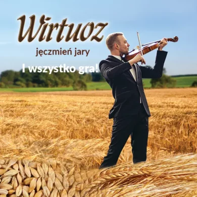 jeczmien jary wirtuoz PHR