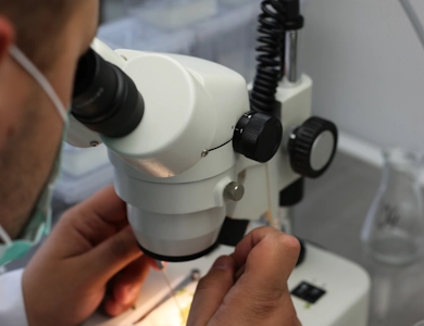 labolatorium PHR foto-box