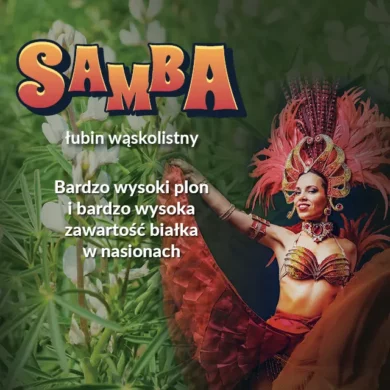 lubin waskolistny samba PHR