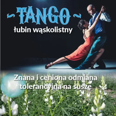 lubin waskolistny tango PHR