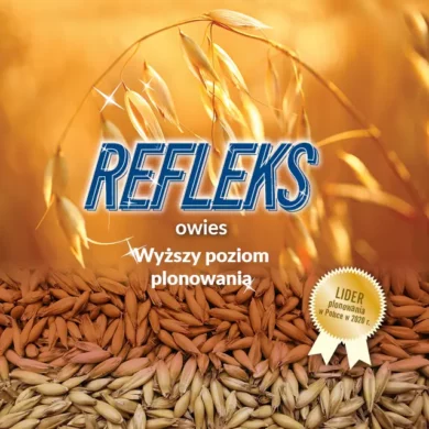 owies refleks PHR