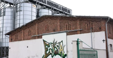 pszenica ozima essa phr foto1