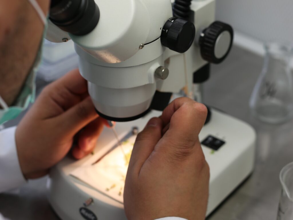 Poznańska Hodowla Roślin Laboratorium