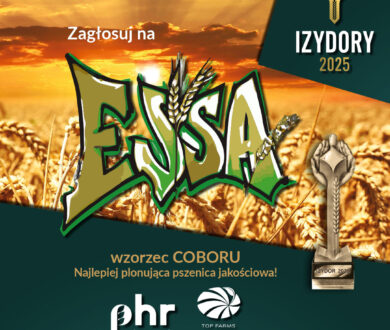 Pszenica ozima ESSA w II etapie plebiscytu IZYDORY 2025!